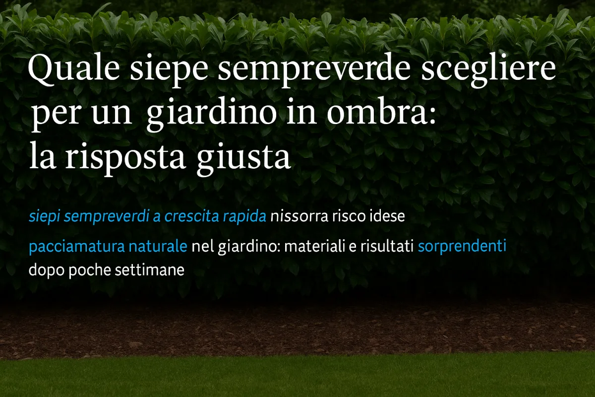 Quale siepe sempreverde scegliere per un giardino in ombra: la risposta giusta